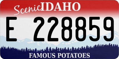 ID license plate E228859