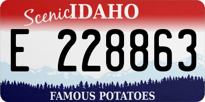 ID license plate E228863
