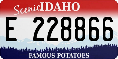 ID license plate E228866