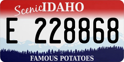 ID license plate E228868