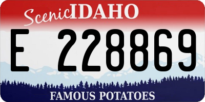 ID license plate E228869