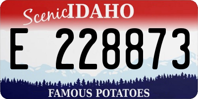 ID license plate E228873