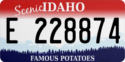 ID license plate E228874