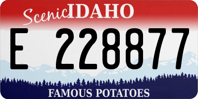 ID license plate E228877