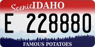 ID license plate E228880
