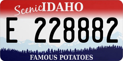 ID license plate E228882