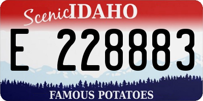 ID license plate E228883