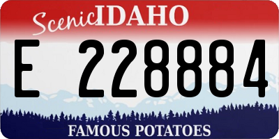 ID license plate E228884