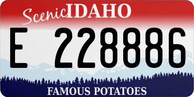 ID license plate E228886