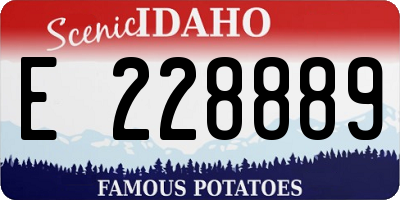 ID license plate E228889