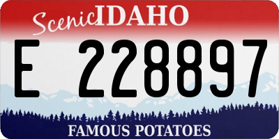 ID license plate E228897