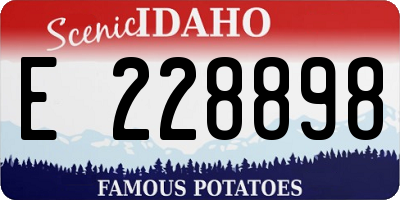 ID license plate E228898
