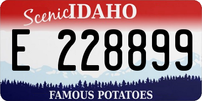 ID license plate E228899