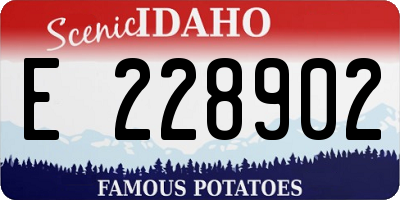 ID license plate E228902