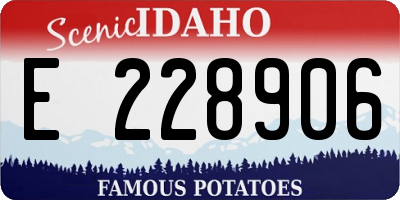 ID license plate E228906
