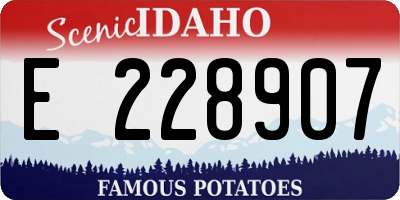 ID license plate E228907