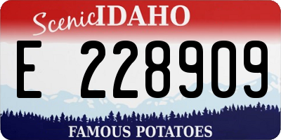 ID license plate E228909