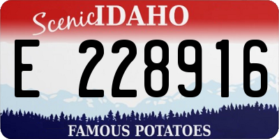 ID license plate E228916