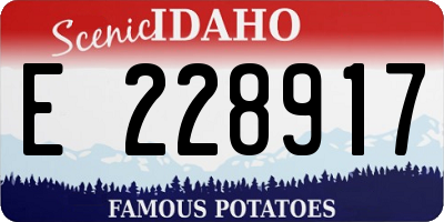 ID license plate E228917