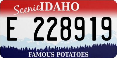 ID license plate E228919