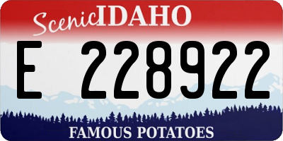 ID license plate E228922