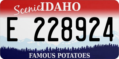 ID license plate E228924