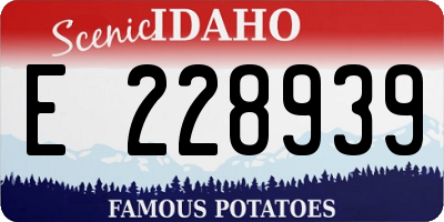 ID license plate E228939