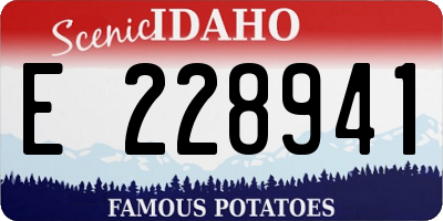 ID license plate E228941