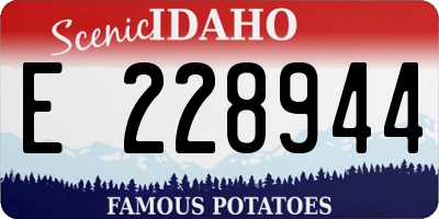 ID license plate E228944