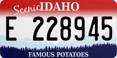 ID license plate E228945