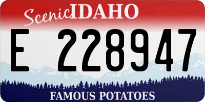 ID license plate E228947