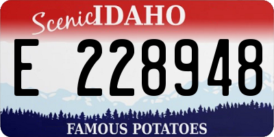 ID license plate E228948
