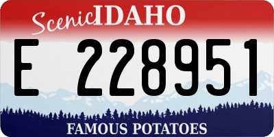 ID license plate E228951