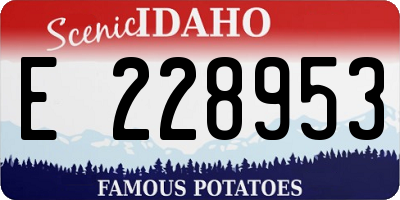 ID license plate E228953