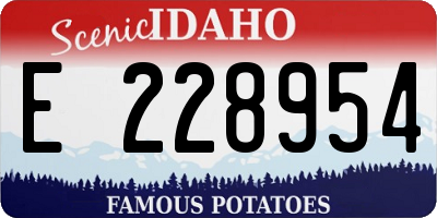 ID license plate E228954