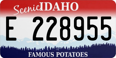 ID license plate E228955