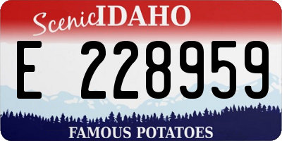 ID license plate E228959