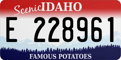 ID license plate E228961