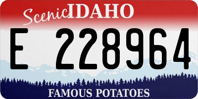 ID license plate E228964