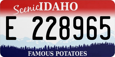 ID license plate E228965