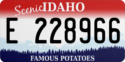ID license plate E228966