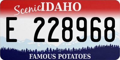 ID license plate E228968