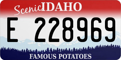 ID license plate E228969