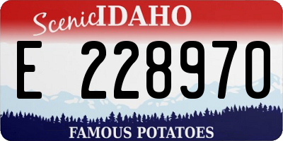 ID license plate E228970