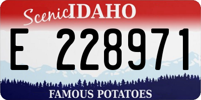 ID license plate E228971