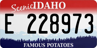 ID license plate E228973