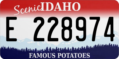 ID license plate E228974