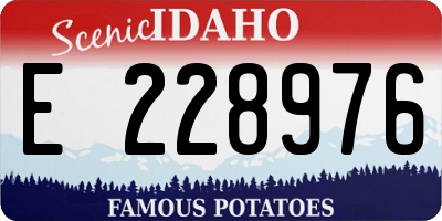ID license plate E228976