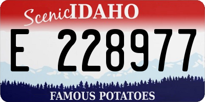 ID license plate E228977