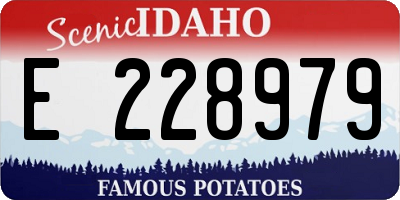 ID license plate E228979